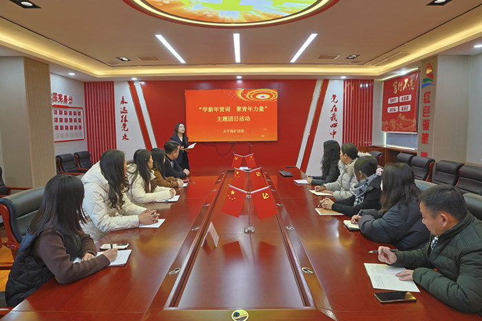 太平煤矿团委开展“学新年贺词  聚青年力量”主题团日活动_副本.jpg