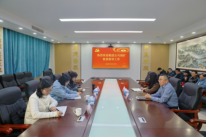 集团公司到太平煤矿开展巡察反馈党建问题专项整改检查工作_副本.jpg